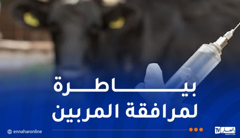 لقاءات تحسيسية لفائدة المربين ضد مرض الجلد العقدي المعدي للأبقار