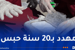 بحّار استورد “الكوكايين” عبر سفينة “سريتا” .. القصة الكاملة