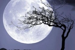 العالم على موعد مع ظاهرة فلكية نادرة هذا الأحد