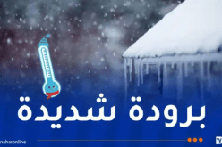 تنبيه.. برودة شديدة على 7 ولايات اليوم