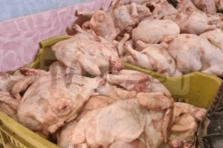 بجاية: حجز أكثر من 9 قناطير لحوم بيضاء فاسدة بأقبو