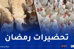 هكذا مونت الحكومة شركتي “ألفيار” و”أوناب” باللحوم