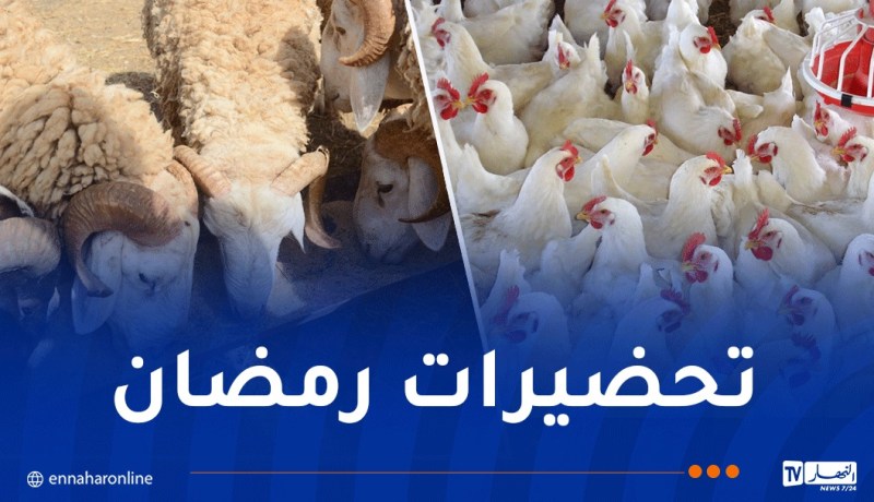 هكذا مونت الحكومة شركتي “ألفيار” و”أوناب” باللحوم