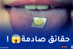 توقيف المدعو “شاوارما” جلب 2201 طابع مخدرات من كندا !