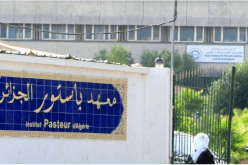 تيارت: إنجاز مستشفى لعلاج الحروق وملحقة لمعهد باستور الجزائر