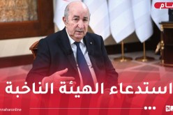 الرئيس تبون يوقع مرسوما رئاسيا لتجديد نصف أعضاء مجلس الأمة المنتخبين