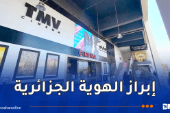 آيت أوديع.. الجلسات الوطنية للسينما ستشجع الخواص على الاستثمار وهذا هو طموحنا