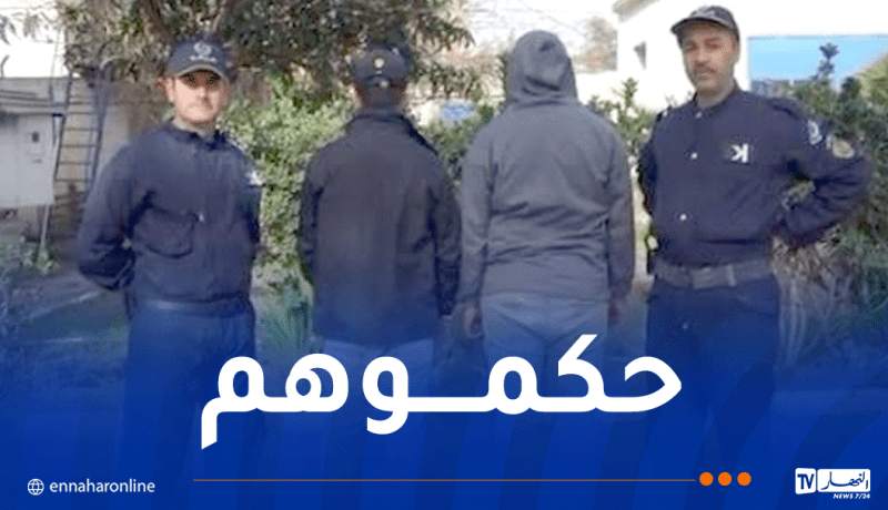 البليدة: توقيف سائقي حافلتين في وقت قياسي بعد تداول فيديو يوثق مناورات خطيرة