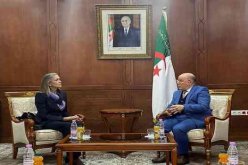 وزير الشؤون الدينية يستقبل سفيرة هولندا بالجزائر