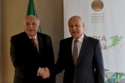 مستقبل القضية الفلسطينية محور لقاء عطاف وأبو الغيط