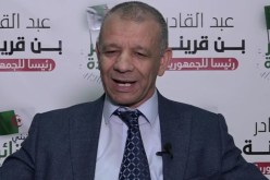 بن قرينة: وقف إطلاق النار في غزة يمثل انتصارا بيّناً للشعب الفلسطيني