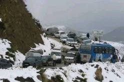 البليدة.. إسعاف 53 شخصا بالشريعة  