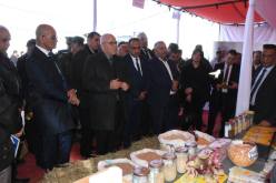وزير الفلاحة يتفقد عدة مشاريع بالوادي