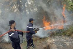 جيجل.. الحرائق تتلف ما يقارب 4200 م2 من الأحراش والبلوط