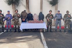 برج بوعريريج: الجمارك تحبط محاولة تهريب 25 ألف كبسولة بريغابالين