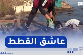 لقمان .. إنسانية تتجسد في رعاية وإطعام القطط المتشردة