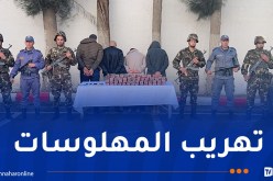 سطيف.. إحباط محاولة تهريب 25 ألف كبسولة “بريغابالين”