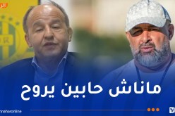 مدان: “مشاكل بن شيخة مع بعض أشباه الأنصار”