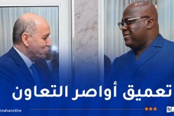 سايحي يستقبل من قبل رئيس الكونغو ويسلّمه رسالة الرئيس تبون