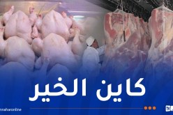إستيراد 13 ألف طن من اللحوم الحمراء و15 ألف طن دجاج تحسبا لرمضان