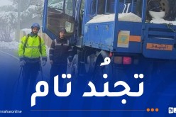 مُخطط خاص لضمان إستمرارية خدمة توزيع الكهرباء والغاز