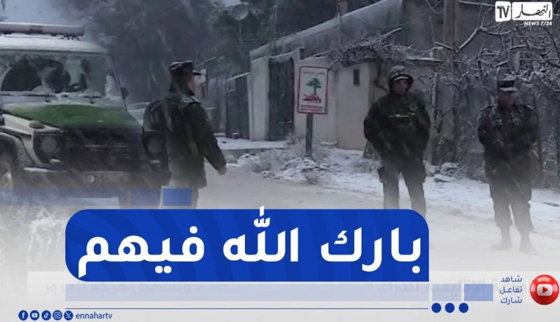 أم البواقي : المجموعة الإقليمية للدرك الوطني تسهر على تنظيم وتسهيل حركة المرور