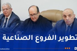 وزير الصناعة يبحث تطوير شعبتي الصناعات الكهربائية والإلكترونية