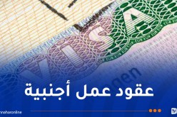 إلتماس 7 سنوات حبسا للمتورطين في إنشاء موقع الكتروني مشبوه