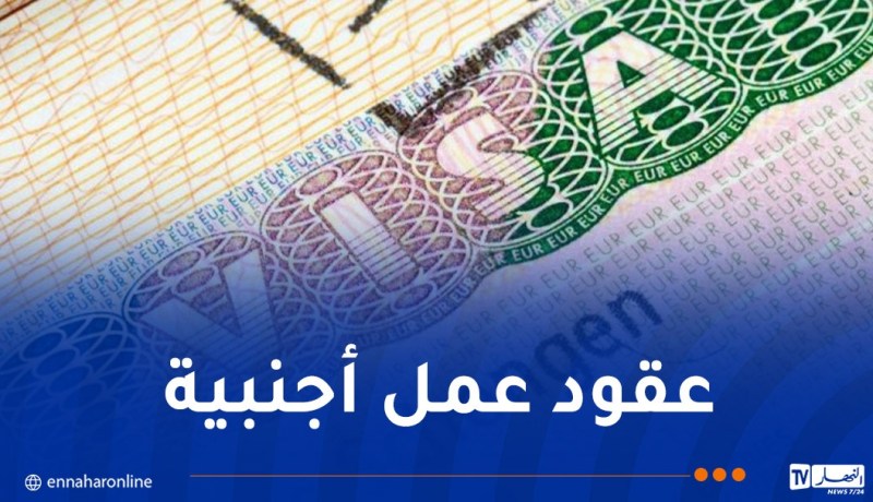 إلتماس 7 سنوات حبسا للمتورطين في إنشاء موقع الكتروني مشبوه