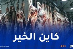 إستيراد أكثر من 50 ألف طن من اللحوم تحسبا لرمضان