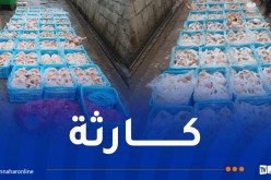 بجاية: حجز قرابة 8 قناطير من الدجاج الفاسد كانت موجهة للتسويق