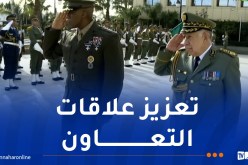 شنقريحة: تعزيز علاقات التعاون في مجالي الأمن والدفاع مع أمريكا