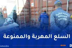الجمارك تحجز 8,5 طن من الكيف و570 كلغ كوكايين و11 مليون قرص مهلوس في 2024