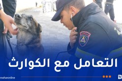 الحماية المدنية: تكوين لرفع كفاءة فرق الإنقاذ