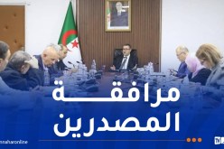 إجراءات جديدة في مجال النقل الدولي البري والجوي