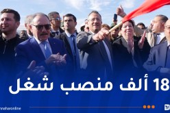 وزير الأشغال العمومية يُعاين مشاريع ضخمة بهذه الولايات