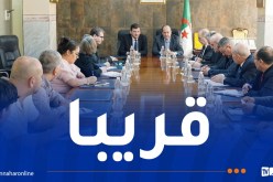 إنشاء مركز امتياز متخصص في مهن النسيج والجلود بالبويرة