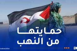 حركة البناء الوطني: ثروات الصحراء الغربية يجب أن يستفيد منها الشعب الصحراوي بشكل مباشر