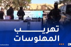 الإطاحة بـ4 أشخاص بعد ضبط 30 ألف قرص “بريغابالين” داخل أنابيب حديدية بورقلة