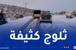 هذه الطرقات مقطوعة بسبب تراكم الثلوج
