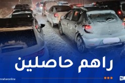 خنشلة.. الثلوج تشلّ الحركة ومركبات عديدة عالقة بطريق شيليا ببوحمامة 