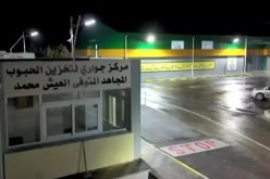 تيارت.. الانتهاء من إنجاز أوّل مركز جواري جديد لتخزين الحبوب