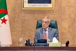 الوزير الأول يترأس أشغال مجلس مساهمات الدولة