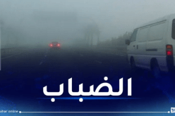 بالفيديو.. ضباب كثيف بالطريق الرابط بين عنابة وقالمة