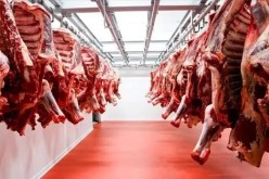 البراءة لبيطرية وتجار بعد متابعتهم بتخزين لحوم مجمدة لتسويقها في رمضان
