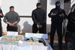 تلمسان: حجز 2 كلغ كوكايين وتوقيف شخصين بمغنية