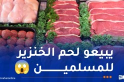 كارثة.. العثور على خنازير برية في محل جزارة حلال