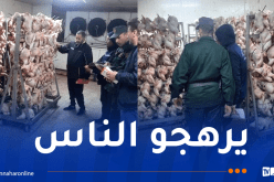 بسكرة.. حجز 3 قناطير من اللحوم البيضاء غير الصالحة للاستهلاك