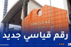صادرات مجمع سونلغاز تجاوزت الـ268 مليون يورو خلال سنة 2024
