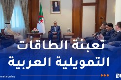 الوزير الأول يستقبل المدير العام ورئيس مجلس إدارة صندوق النقد العربي